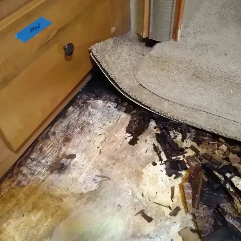 Wood Floor Water Damage in Manville, NJ